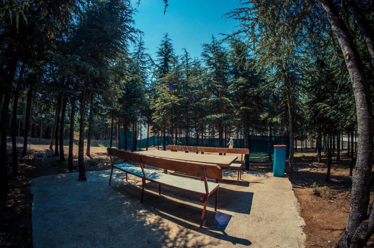 Visit Sunny Beach Sea Apartments Elenite Exterior photo